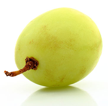 wijn van vergeten druiven