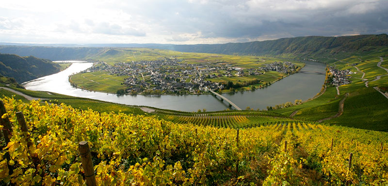 Wijn uit de Moezel kopen