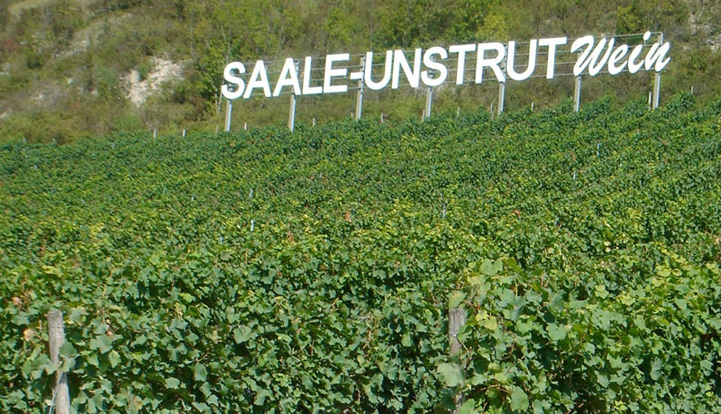 Wijn uit Saale-Unstrut
