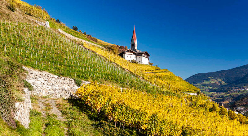 alto adige wijn