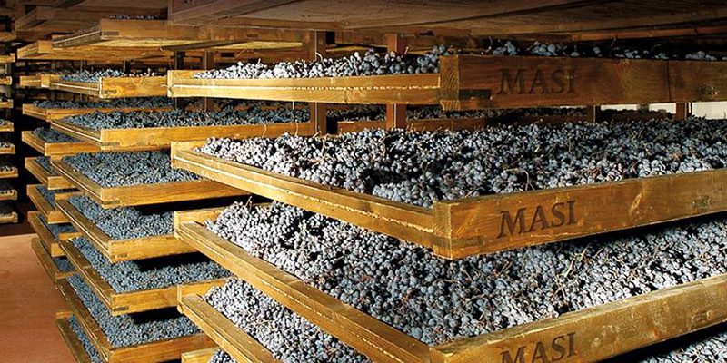 amarone valpolicella wijn kopen