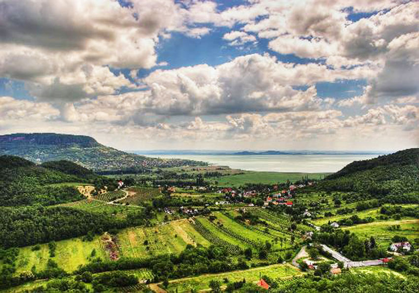 balaton hongaarse wijn kopen