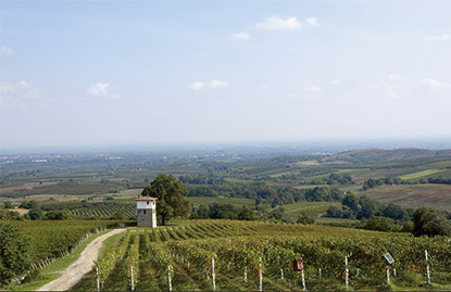 wijn uit Grieks Macedonie