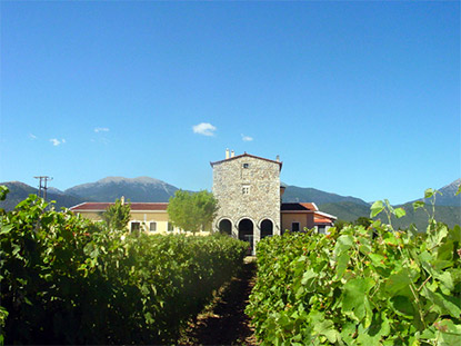 wijn uit de Peloponnesos