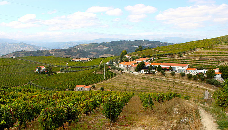 terras do sado wijn portugal