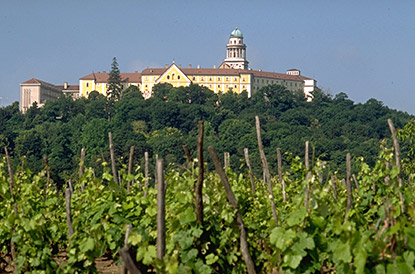 apatsagi pannonhalmi