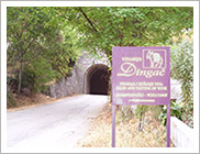 Wijn van Vinarija Dingač kopen