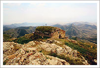 Wijn van Domaine Avetissyan kopen