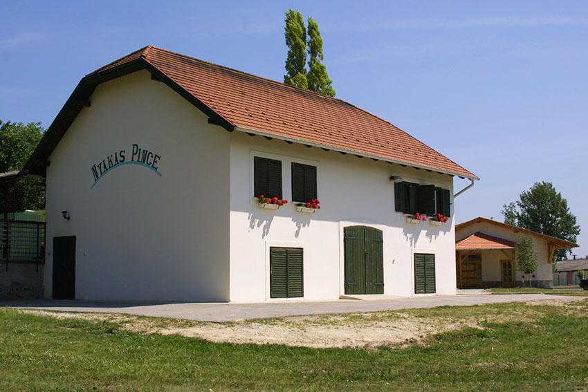 nyakas hongarse wijn kopen